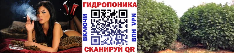 цена наркотик Белореченск omg ссылка darknet формула Бошки Шишки индика
